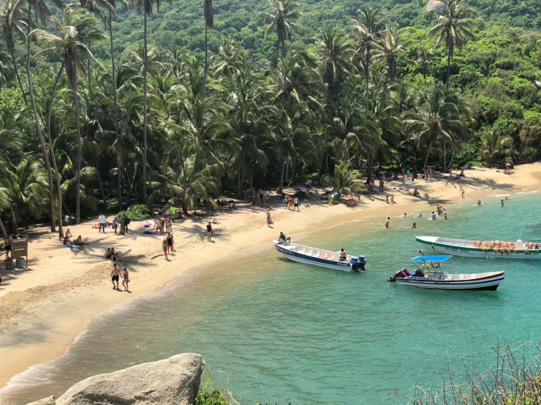 three boats near seashore surrounded by palm trees